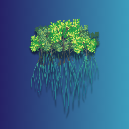 Mangrove Restoration Campaign