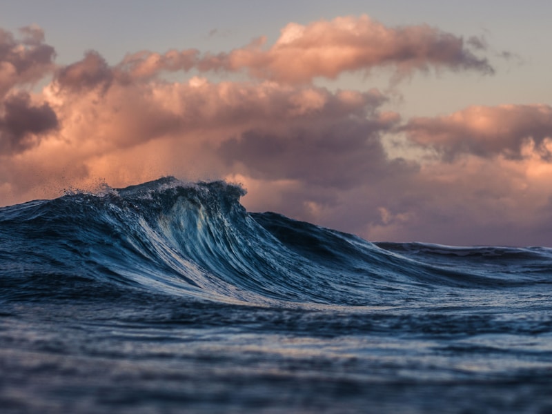 Marine Conservation
